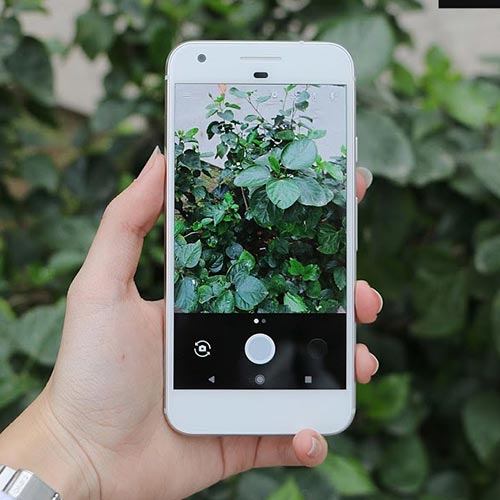 Google Pixel (Nobox - Likenew 99%)